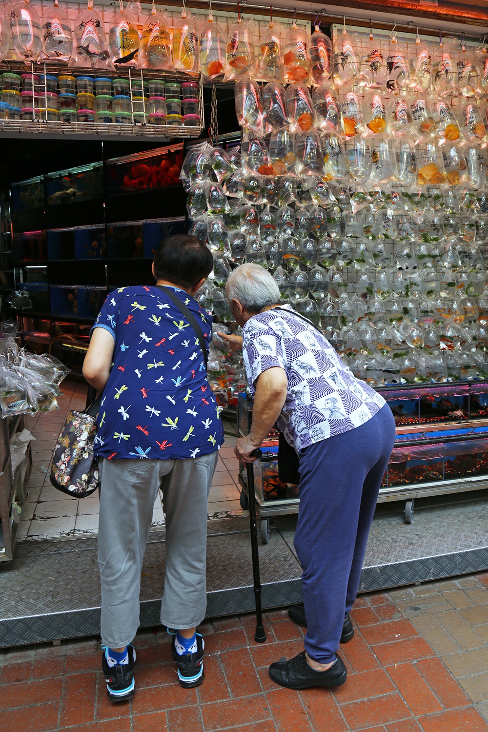 bill-hocker-fish-store-mong-kok-kowloon-hong-kong-2017