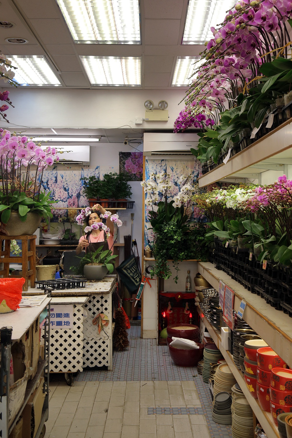 bill-hocker-flower-shop-mong-kok-kowloon-hong-kong-2017