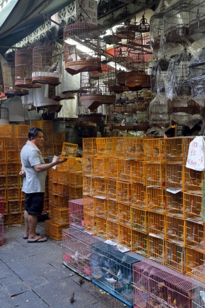 Bird Market
Mong Kok
Kowloon, hong Kong
