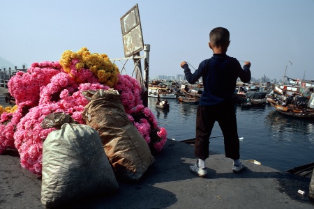 Plastic Flowers
Causeway Bay, Hong Kong