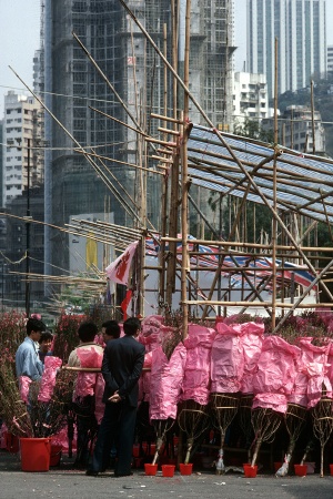 Year End Market
Causeway Bay, Hong Kong