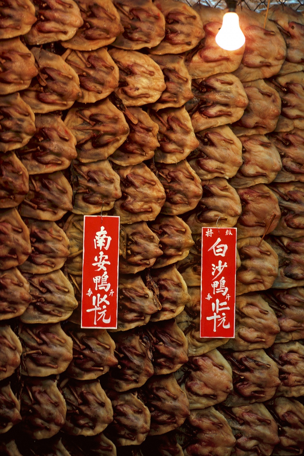 bill-hocker-pressed-duck-hong-kong-1979