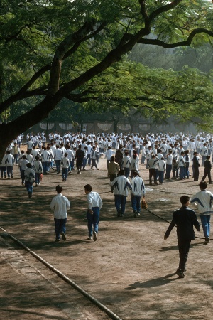 Middle School
Kowloon, Hong Kong