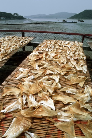 Sharks' Fins
Hong Kong