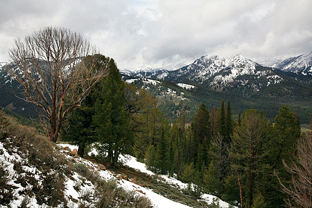 Sawtooth LookoutNorth of Ketchum, Idaho