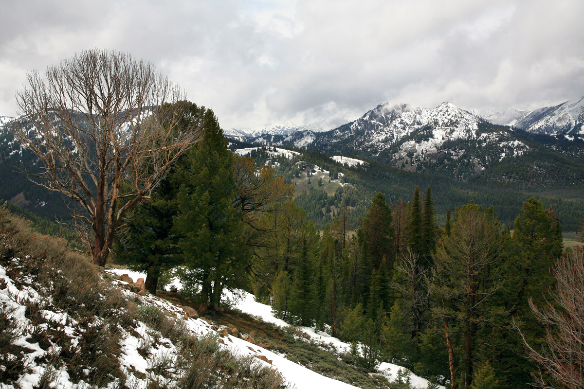 bill-hocker-sawtooth-lookout-north-of-ketchum-idaho-2008