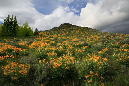 7th StreetKetchum, Idaho
