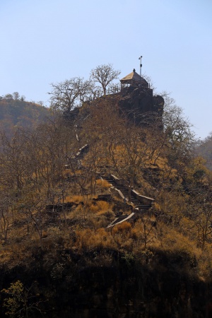 Lookout Hill
Ajanta, India