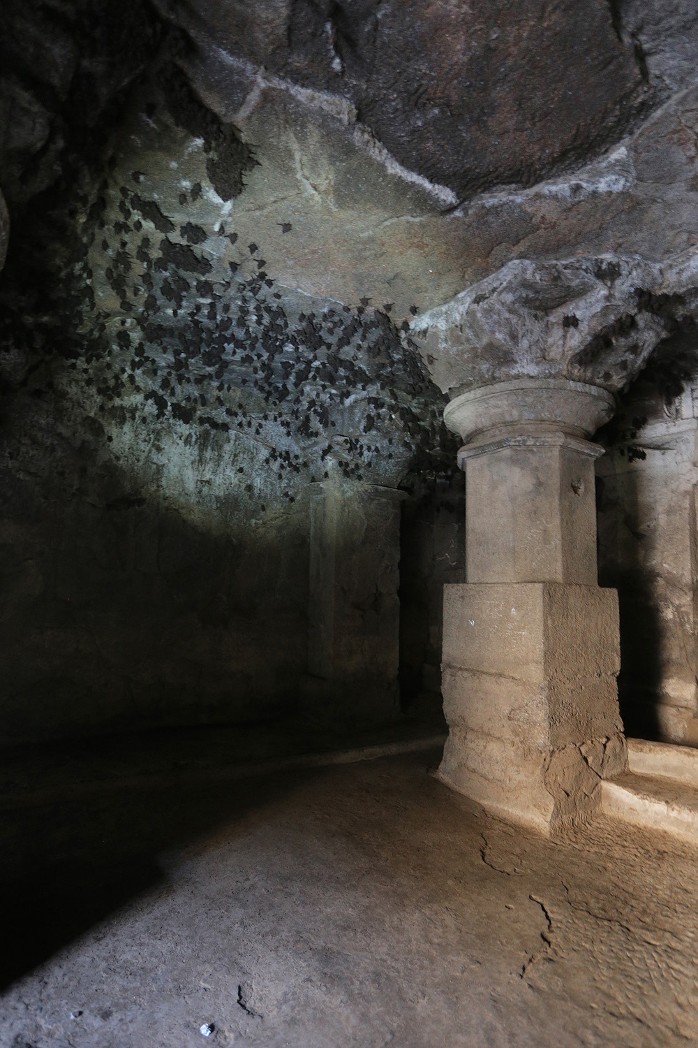 bill-hocker-dark-passage-bats-daulatabad-fort-near-aurangabad-india-2018