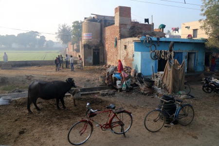 Village Life
Near Agra, India
