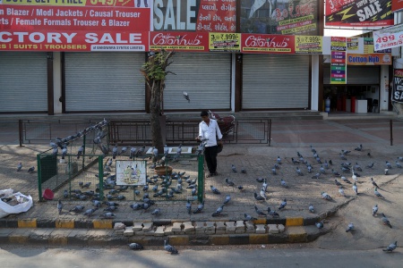 Bird Feeder
Ahmedabad, India