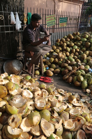 Coconuts
Pondicherry, India