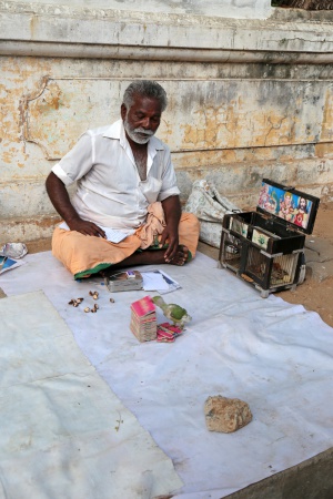 Fortune Teller (and Keeper)
Pondicherry, India