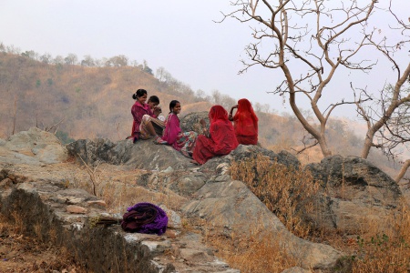 Between Ranakpur and Udaipur
India