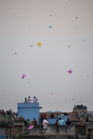Kite Festival
Ahmedabad, India