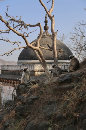 Daulatabad Fort
Near Aurangabad, India