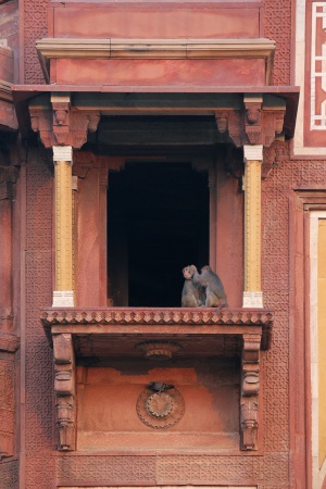 Agra Fort
Agra, India
