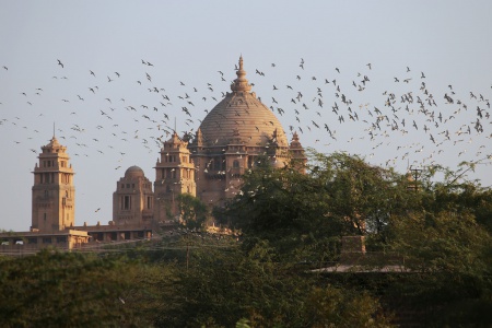 Umaid Bahran Palace
Jodhpur, India