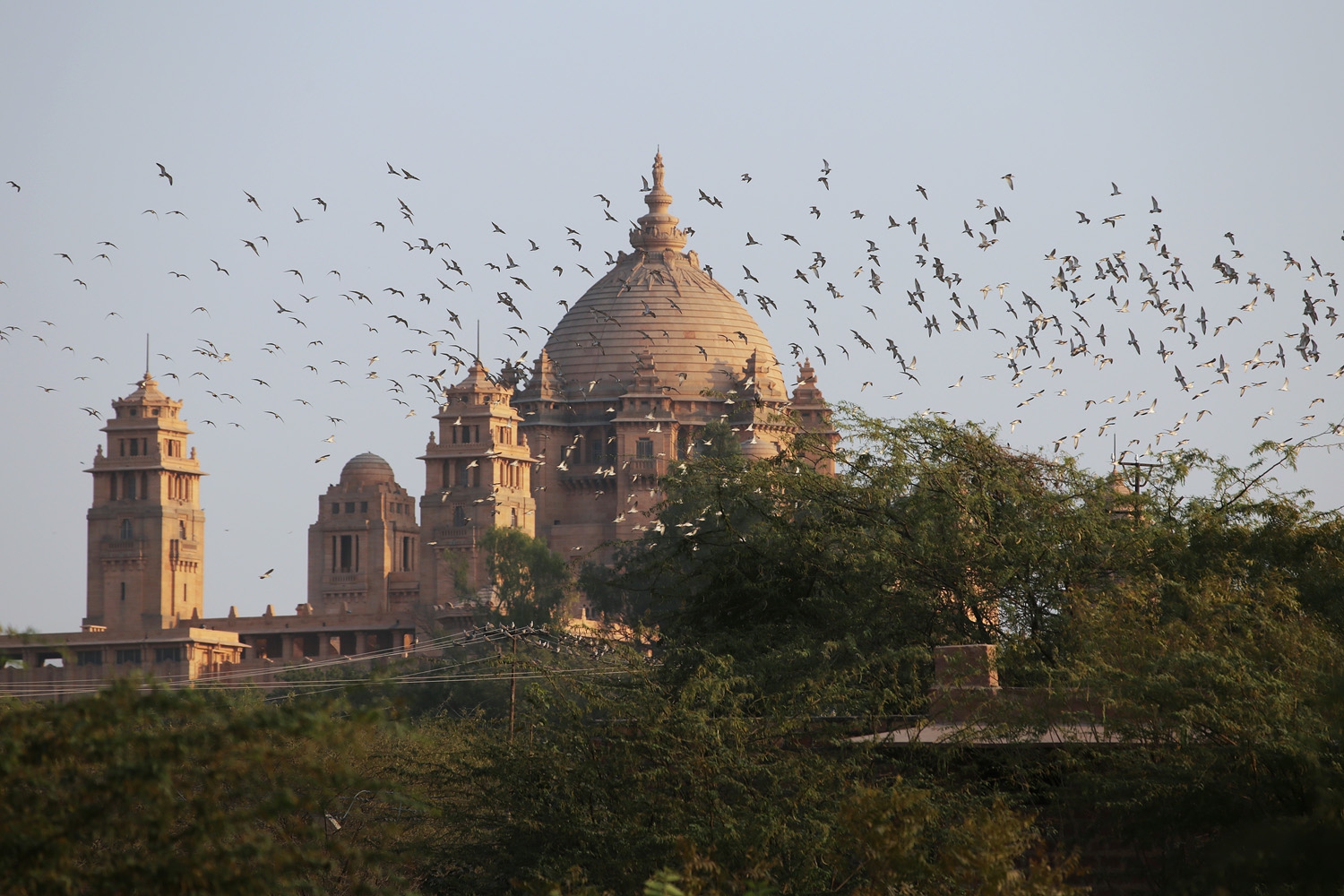 bill-hocker-umaid-bahran-palace-jodhpur-india-2018