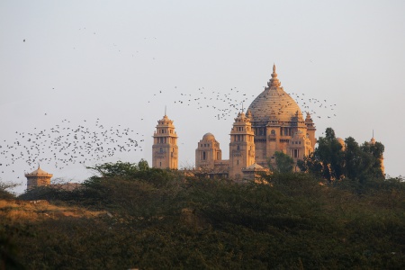 Umaid Bahran  Palace
Jodhpur, India