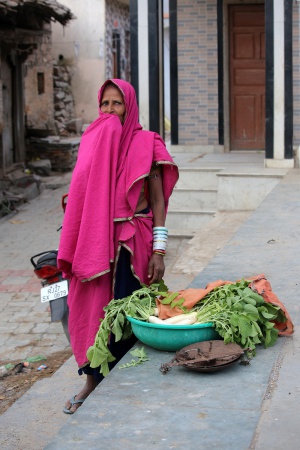 Vegetable Vendor
Agra to Jodhpur, India