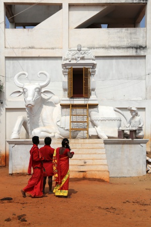 Sacred Cow
 Kali Shrine
Tamil Nadu, India
