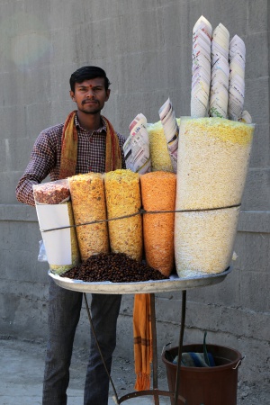 Snack Vendor
Amanita, India