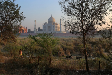 Taj Mahal
Agra, India