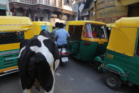 Traffic Jam
Ahmedabad, India