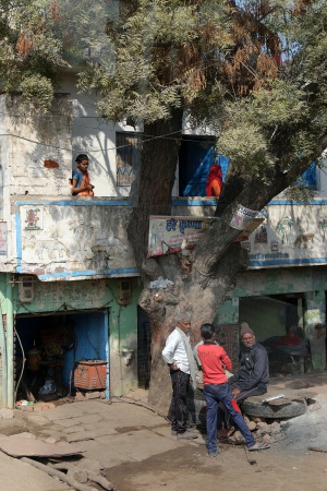 Tree House
Near Agra, India