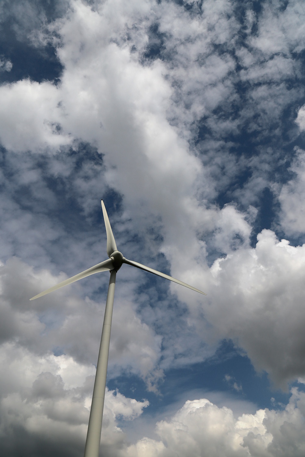 bill-hocker-near-ypres-belgium-2016