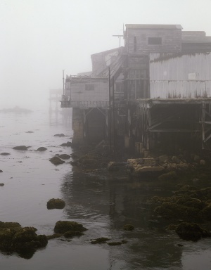 Cannery 6 of 21Monterey, California