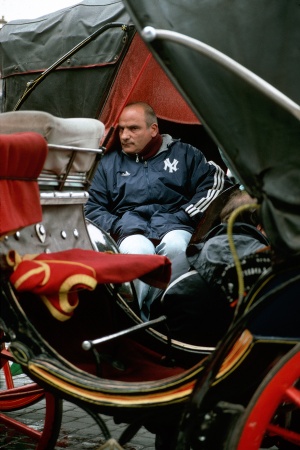		Carriage Driver
Rome, Italy
