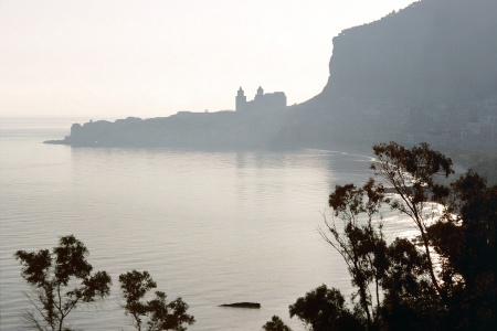 Trees and CoveCefelù, Sicily