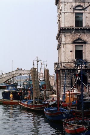 Harbor
Chioggia, Italy
