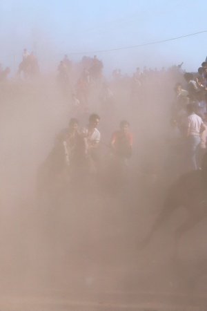 	Ardia de San Constantino
Sadilo, Sardinia
