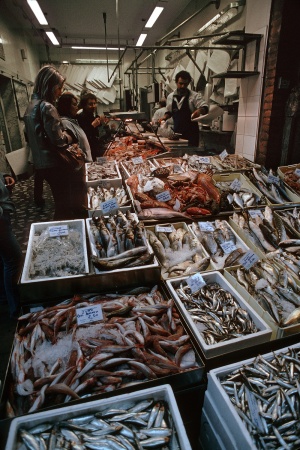 Fishmonger
Chioggia, Italy