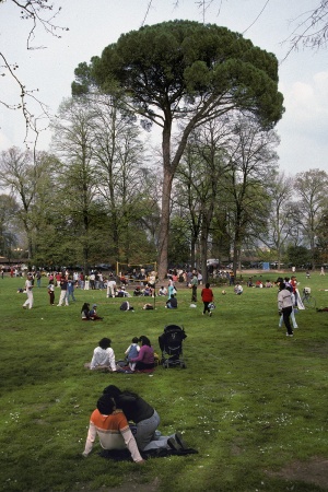 Park
Florence, Italy
