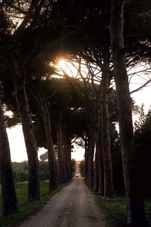 Private Drive
Near Lecce, Italy
