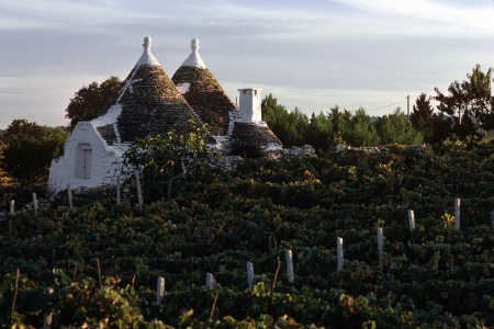 Trullo
Alberobello,  Italy