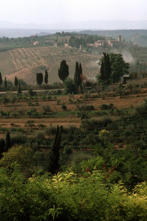 Tuscany, Italy 