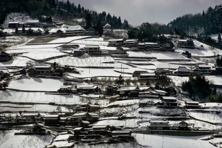 Inland Farms
Shikoku Island, Japan