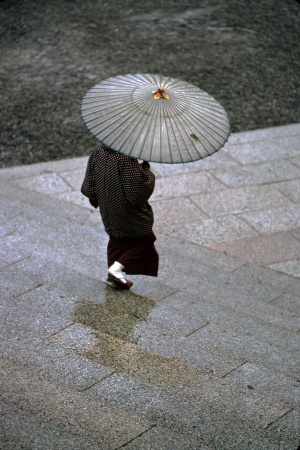 RainNikko, Japan