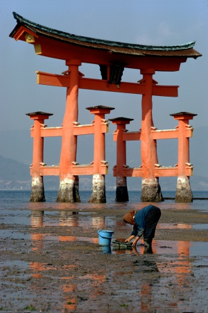 	Clamming
Itsukushima Shrine
Miyajima, Japan