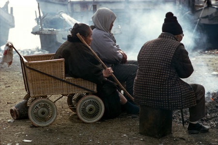 CompanionsNear Takamatsu, Japan