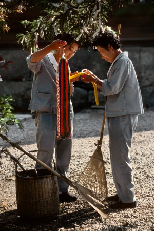 A Thousand Cranes
Izumi Taisha Shrine
Taisha, Japan