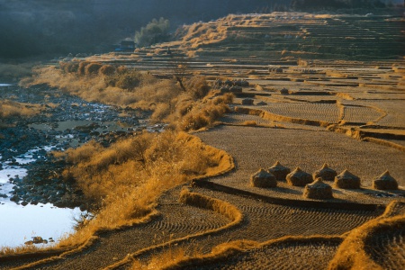 FarmShikoku Island, Japan