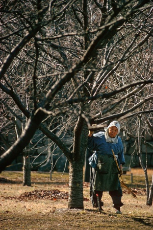 GardenerKyoto, Japan