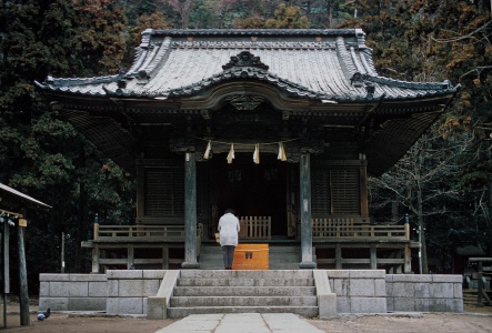 Isumo Taisha Shirne
Taisha, Japan