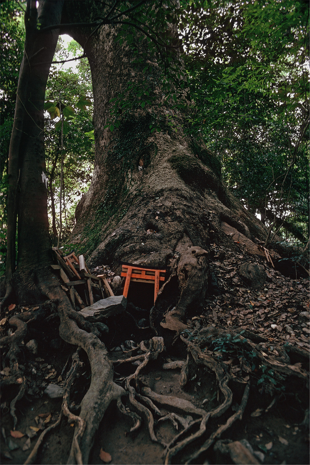 bill-hocker-torii-offerings-iseshi-japan-1974